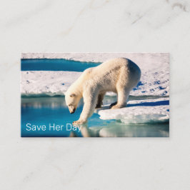 Tarjeta De Visita Foto: Oso Polar, azul, naturaleza de inspiración b
