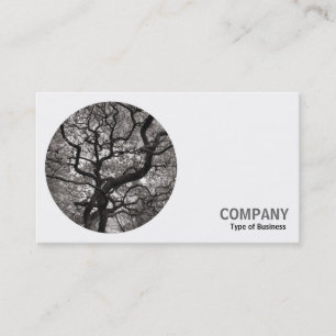 Tarjeta De Visita Foto Redonda - Árbol Arce Japonés