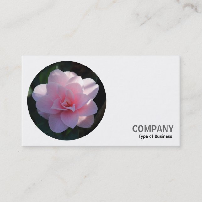 Tarjeta De Visita Foto redonda - Camellia rosa (Anverso)