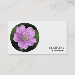 Tarjeta De Visita Foto redonda - Geranium