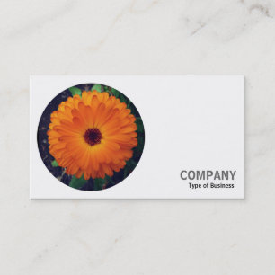 Tarjeta De Visita Foto redonda - Inglés Marigold