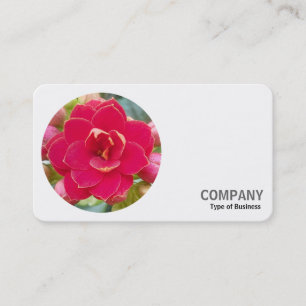 Tarjeta De Visita Foto redonda - Kalanchoe