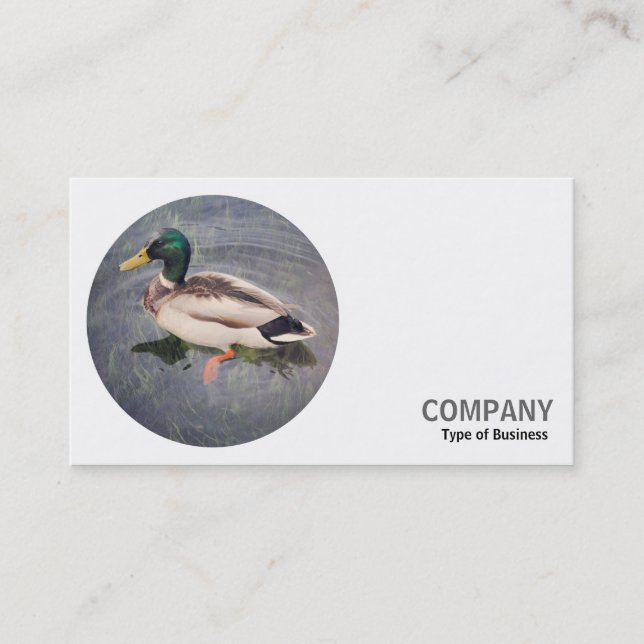 Tarjeta De Visita Foto redonda - Pato Mallard (Anverso)