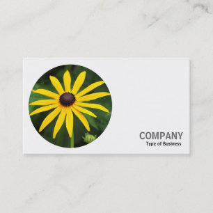 Tarjeta De Visita Foto redonda - Rudbeckia hirta