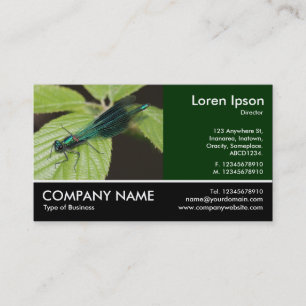 Tarjeta De Visita Fotografía arrancada - Dragonfly