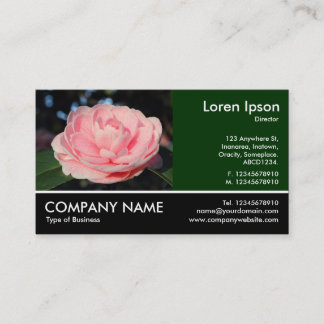 Tarjeta De Visita Fotografía - Camellia Rosa