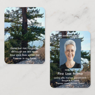 Tarjeta De Visita Fotografía conmemorativa Oración Vieja Árbol Selva