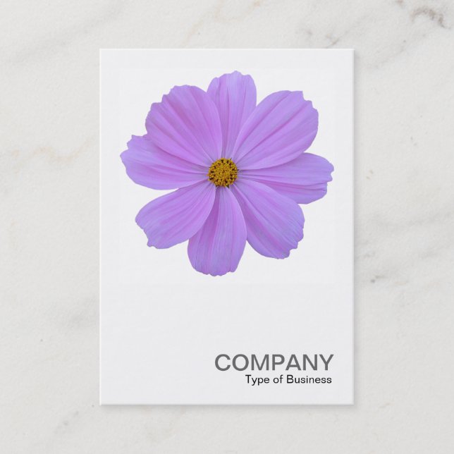 Tarjeta De Visita Fotografía cuadrada 0171 - Flor cosmósmica púrpura (Anverso)