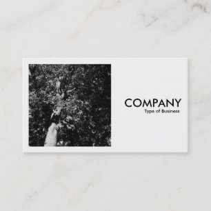 Tarjeta De Visita Fotografía cuadrada (v2) - Árbol plano de Londre