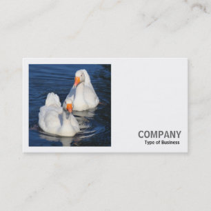 Tarjeta De Visita Fotografía cuadrada (v2) - Dos suaves ganesas