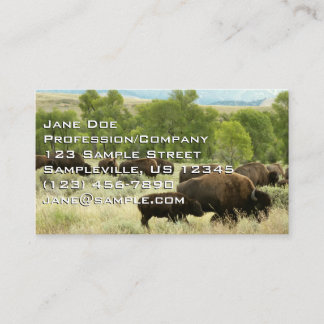 Tarjeta De Visita Fotografía de animales de la naturaleza de Wyoming