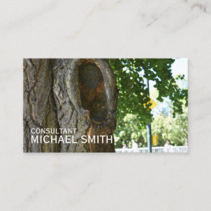 Tarjeta De Visita Fotografía de la naturaleza del tronco del árbol d