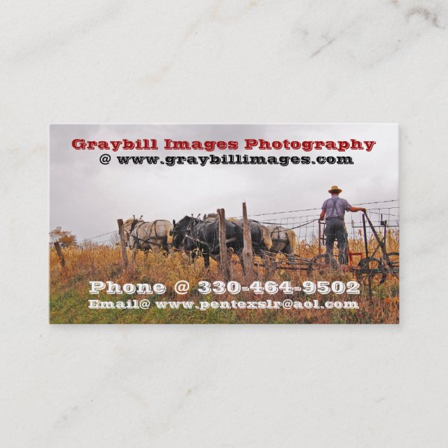 Tarjeta De Visita Fotografía de las imágenes de Graybill (Anverso)