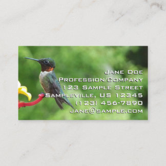 Tarjeta De Visita Fotografía de pájaro húmedo con trompetas de rubí