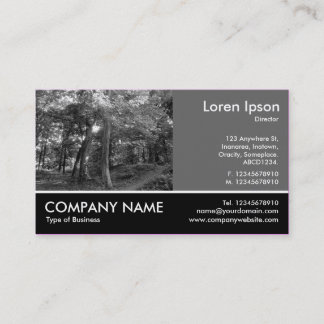Tarjeta De Visita Fotografía de pie - 60pc Gray - Woodland