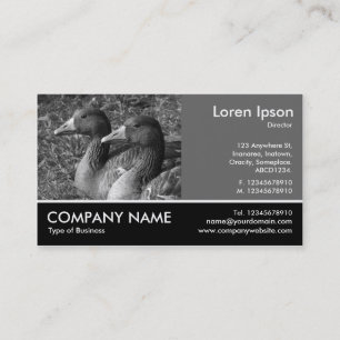 Tarjeta De Visita Fotografía de pie - 60pc Gris - Graylag Geese B&W