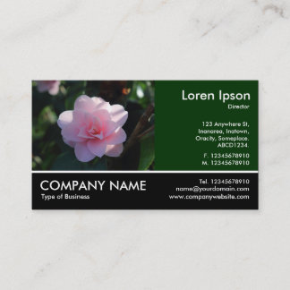 Tarjeta De Visita Fotografía de pie - Camellia rosa