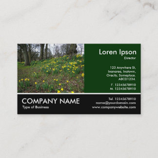 Tarjeta De Visita Fotografía de pie - Dk Green - Daffodils in the Pa