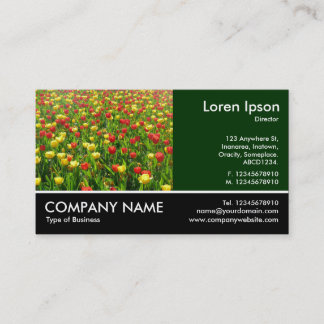 Tarjeta De Visita Fotografía de pie - Dk Green - Mar de Tulipanes II