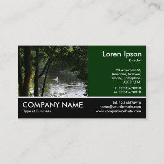Tarjeta De Visita Fotografía de pie - Dk Green - Swan on a River