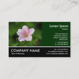 Tarjeta De Visita Fotografía de pie - Geranium