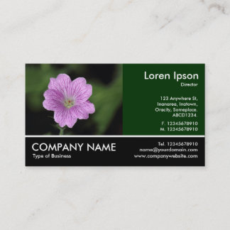Tarjeta De Visita Fotografía de pie - Geranium Endressii