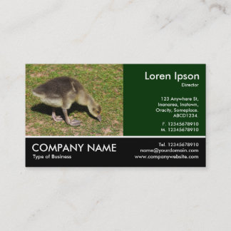 Tarjeta De Visita Fotografía de pie - Gosling