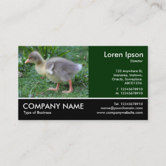 Tarjeta De Visita Fotografía de pie - Gosling 02