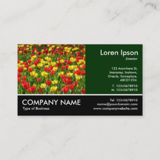 Tarjeta De Visita Fotografía de pie - Green Dk - Mar de Tulipanes II