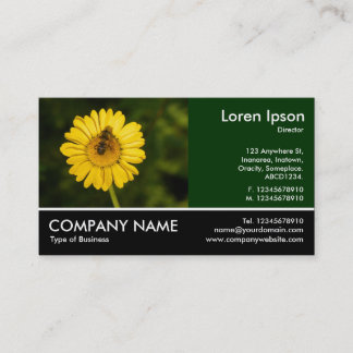 Tarjeta De Visita Fotografía de pie - Yellow Daisy y Bee