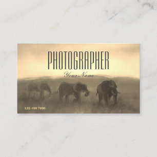 Tarjeta De Visita Fotografía de pintura Safari Sunset Photographer