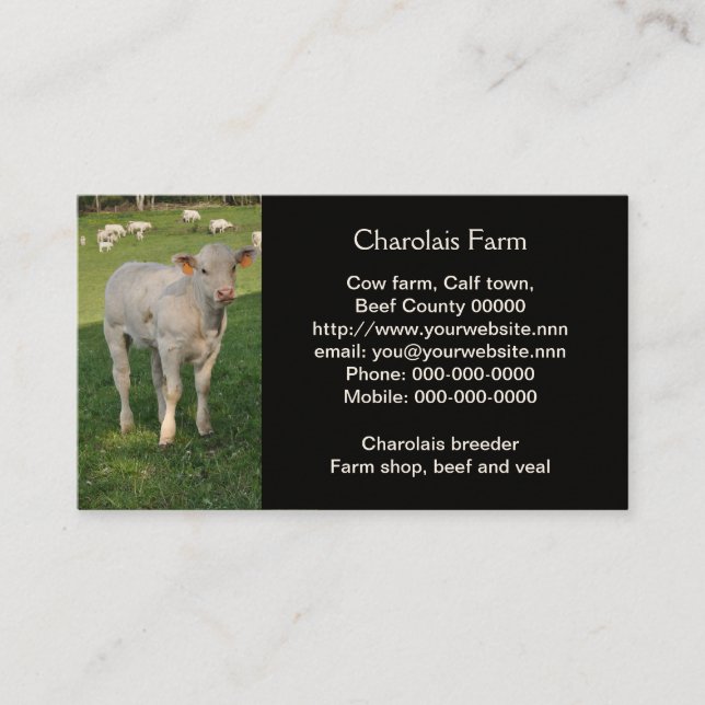 Tarjeta De Visita Fotografía de ternera crema blanca charolais (Anverso)