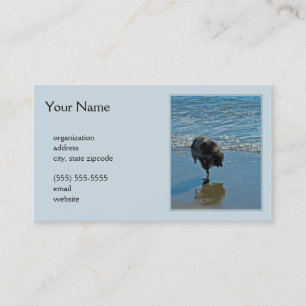 Tarjeta De Visita Fotografía del Ballet Keeshond - Arte de Perro Ori