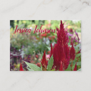 Tarjeta De Visita Fotografía del Jardín Natural Floral de Flor de Ce