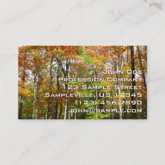 Tarjeta De Visita Fotografía del paisaje otoñal del bosque otoñal II