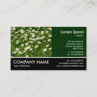 Tarjeta De Visita Fotografía Fotograda - Daisy Meadow