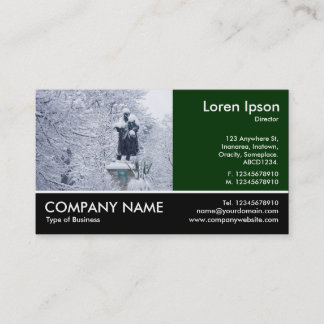 Tarjeta De Visita Fotografía Fotograda - Dk Green - Nieve en el parq