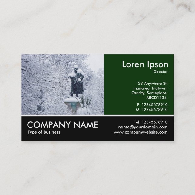 Tarjeta De Visita Fotografía Fotograda - Dk Green - Nieve en el parq (Anverso)