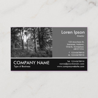 Tarjeta De Visita Fotografía Fotograda - Gris 60pc - En los bosques