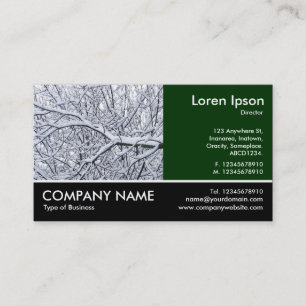 Tarjeta De Visita Fotografía Fotografiada - Dk Green - Ramas Snowy