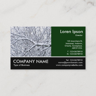Tarjeta De Visita Fotografía Fotografiada - Dk Green - Ramas Snowy