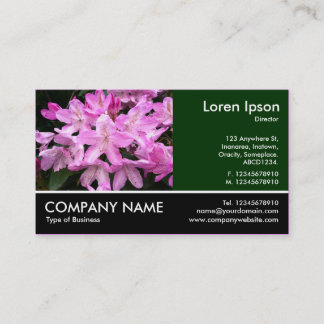 Tarjeta De Visita Fotografía Fotografiada - Dk Green - Rhododendros