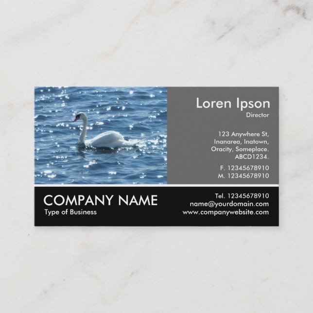 Tarjeta De Visita Fotografía Fotográfica - 60pc Gray - Swan
