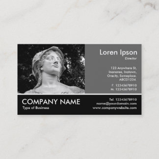 Tarjeta De Visita Fotografía Fotográfica - 60pc Gris - Britannia