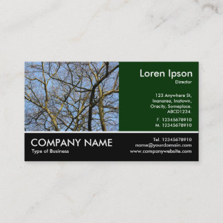 Tarjeta De Visita Fotografía Fotográfica - Branches