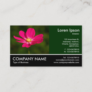 Tarjeta De Visita Fotografía Fotográfica - Cosmos Rosa