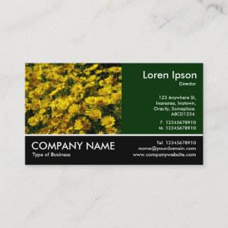 Tarjeta De Visita Fotografía Fotográfica - Dk Green - Daisies Amaril