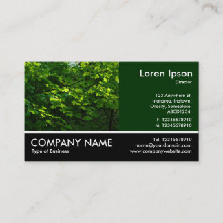Tarjeta De Visita Fotografía Fotográfica - Dk Green - Las hojas de p