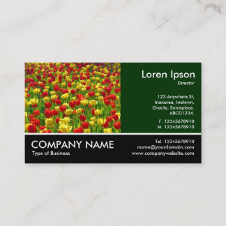 Tarjeta De Visita Fotografía Fotográfica - Dk Green - Mar de Tulipan