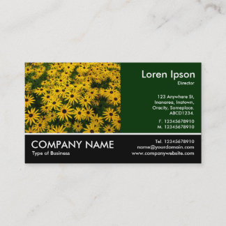 Tarjeta De Visita Fotografía Fotográfica - Dk Green - Susans de ojos